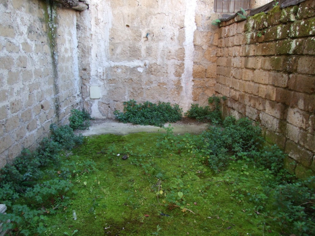 DSCF5149 (FILEminimizer).JPG